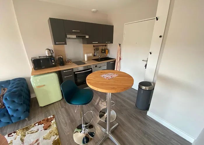 Appartement T2 Avec Parking, Loggia, Vue Puy De Dôme